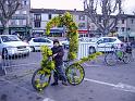 vélo carnavalesque 13